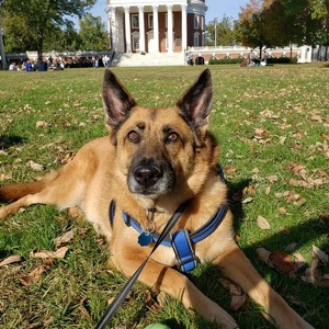 Fundraising Page: Sasha Roof